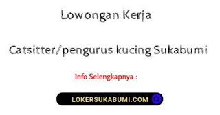 Lowongan Kerja Catsitter/Pengurus kucing Sukabumi terbaru