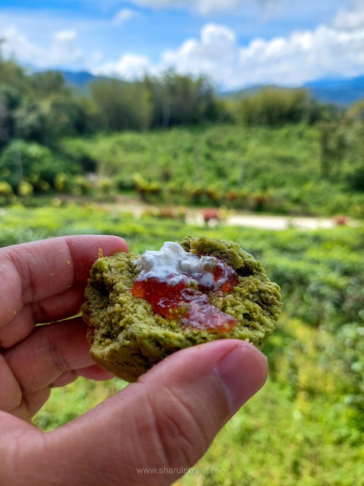 Makan Scones Di Sabah Tea Garden, Ranau