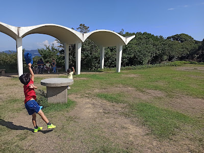 トンボを追いかける子供