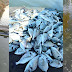 Αποκαρδιωτική η εικόνα των χιλιάδων νεκρών ψαριών στο Δρέπανο Ηγουμενίτσας (+ΒΙΝΤΕΟ)