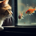 Feline Fascination: Why Cats are Enthralled by Aquariums