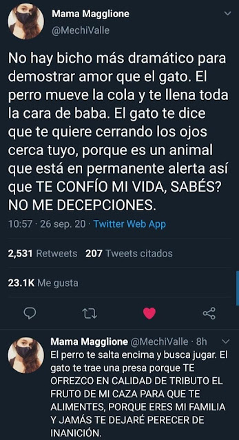 Tweet sobre el dramatismo del gato