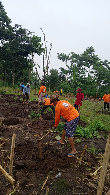 dokumentasi penggalian pondasi Masjid di Pasuruhan Jawa Timur