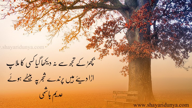 Top 15 famous shajar poetry in urdu | shajar Shayari | shajar 2line poetry | poetry on tree