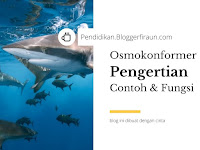 Osmokonformer : Pengertian, Contoh dan Fungsinya, Lengkap!