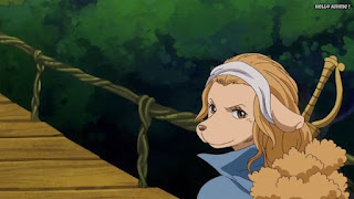 ワンピースアニメ ゾウ編 758話 ワンダ WANDA ミンク族 MINK TRIBE | ONE PIECE Episode 758