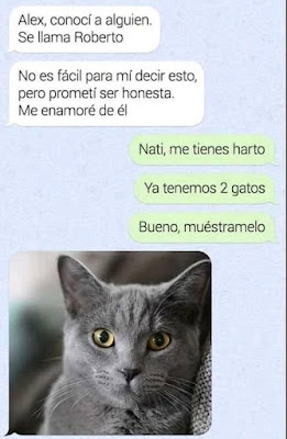 Meme de Whatsapp  Conociendo un nuevo gato