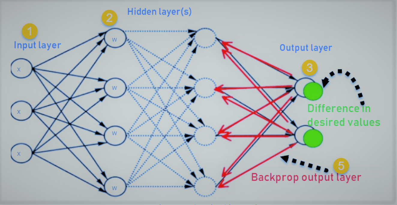 back propagation algorithm in neural network
