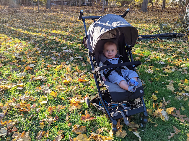 Cybex Libelle Review: Is Its Compact Fold Worth it or Not?