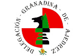 Campeonato Provincial Veteranos Granada 2023