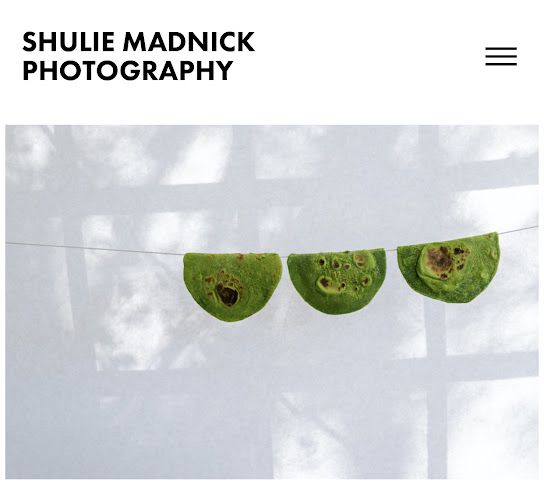 Shulie Madnick Photography
