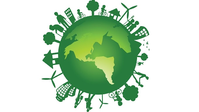 Приглашаем к участию в окружном экологическом конкурсе «Эколидер-2022»