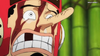 ワンピースアニメ 1008話 ワノ国編 | ONE PIECE