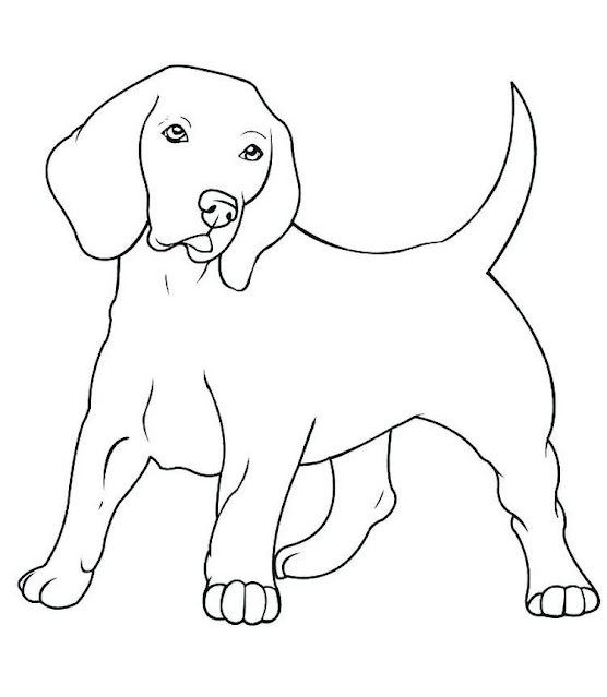 Desenho de cachorro para Imprimir e colorir