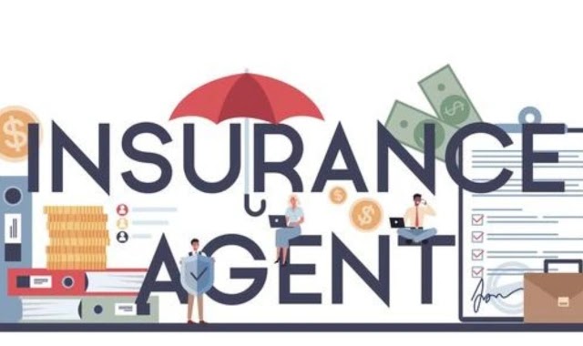 Life Insurance Agent