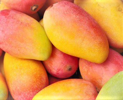 Mango fruit has a rich, delicious, special flavor.