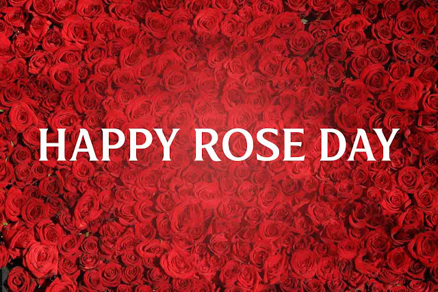 Happy rose day wallpaper 2022