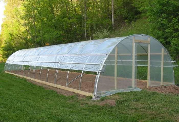 15 Free Greenhouse Plans DIY