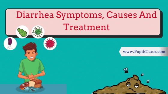 What Causes Diarrhoea? | Signs And Symptoms Of Diarrhoea | How Is Diarrhoea Transmitted – Causes, Precautions, Treatment And Prevention Of Diarrhoea - www.pupilstutor.com