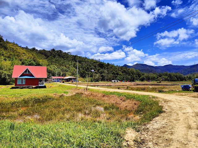 Nancy_Harriss_Homestay_Bario_Sarawak_Twin_Pioneer_Aircraft_Wreck