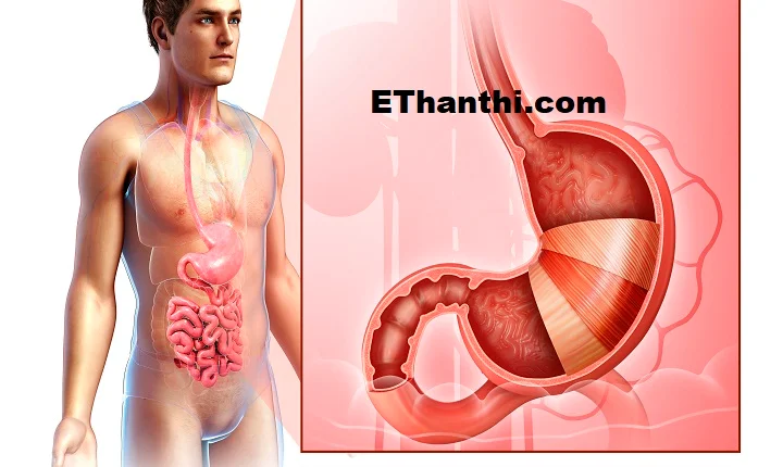உணவுக்குழாய் எதனால் பாதிக்கப்படைகிறது? தெரியுமா?