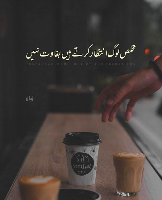 One line poetry Quotes In Urdu, One line Quotes In Urdu text, Deep one Line Quotes In Urdu, Urdu one line Quotes about life, Golden Words In Urdu one line, One line Love Poetry In Urdu, 1 line poetry In Urdu text,One Line Poetry in Urdu Attitude, One line poetry Love, One line poetry caption.