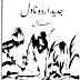 Jadeed Urdu Novel, Shaer Ali Shaer, Literature, جدید اردو ناول, شاعر علی شاعر, ادب,