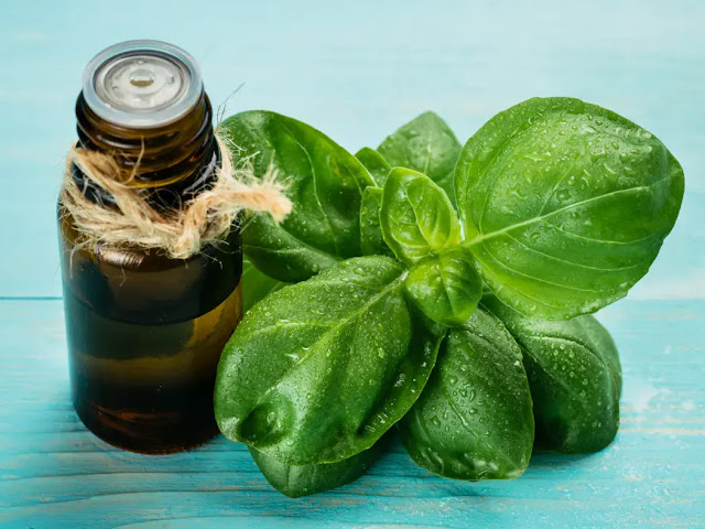 18 essential oils to lose weight naturally