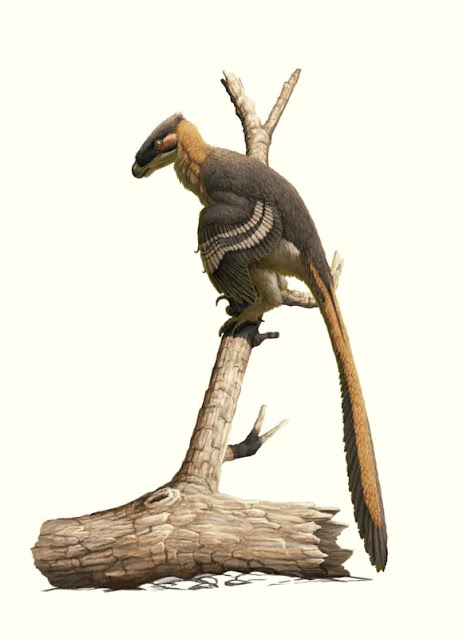 Reconstrucción de la vida de Vectiraptor greeni. Crédito de la imagen: Gabriel Ugueto.