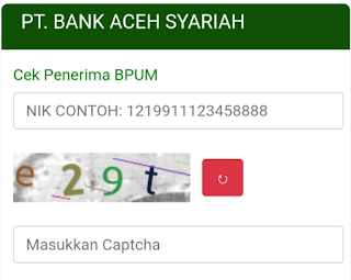 Bank Aceh Keluarkan Eform Untuk Cek Data Penerima BLT-UMKM, Ini Situsnya
