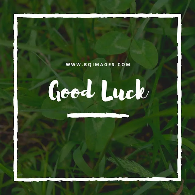 Green Good Luck Images