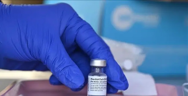 Pfizer/BioNTech's COVID-19 vaccine. Photo: AFP