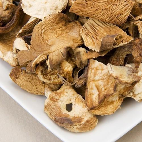 Dried mushroom business | Dry mushroom supplier | Biobritte mushroom center