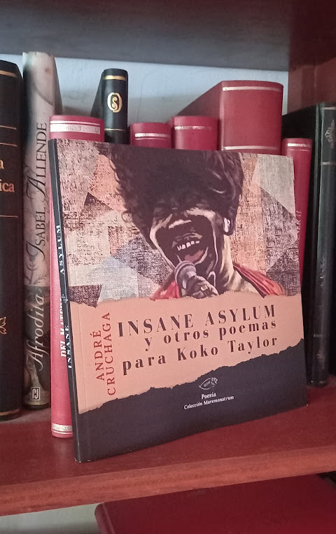 INSANE ASYLUM Y OTROS POEMAS PARA KOKO TAYLOR