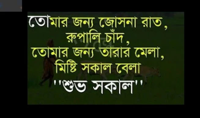 ভালোবাসার রোমান্টিক পিকচার মেসেজ