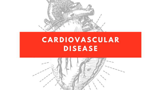 What is a cardiovascular disease? Cardiovascular disease risk factors