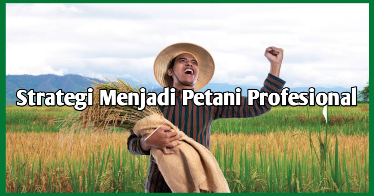 Strategi Menjadi Petani Profesional