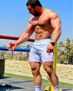 the Sexiness of Bodybuilding Male Studs