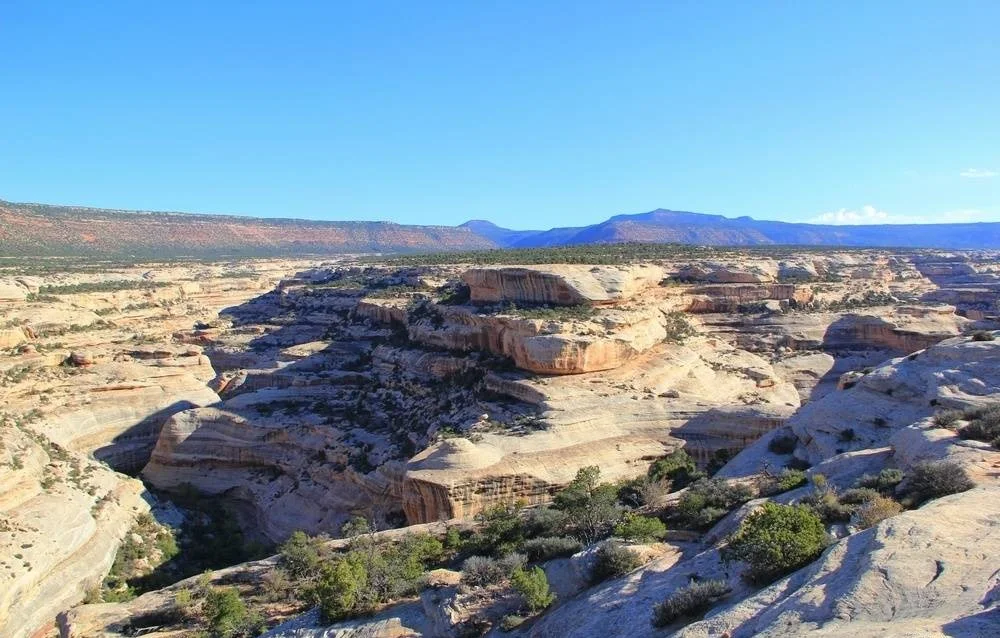 Natural Bridges National Monument