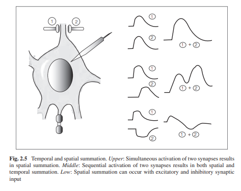 Introduction to Bioelectricity Full