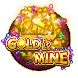 Gold is Mine Hydako