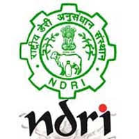 NDRI 2022 Jobs Recruitment Notification of Office Assistant and More Posts