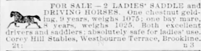 Ad for "ladies saddles and driving horses"