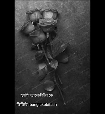 Valentine Day Bengali Poem