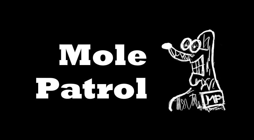 Mole Patrol