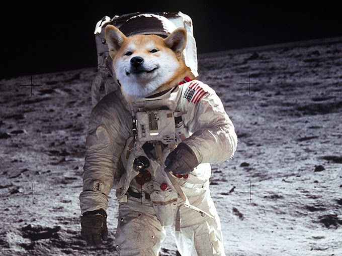  What is the Shiba Inu Token (SHIB)?