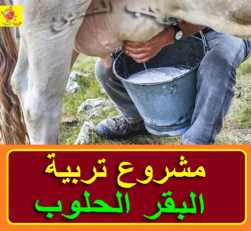 تربية البقر الحلوب" تربية البقر الحلوب فى مصر" تربية البقر الحلوب في الجزائر" تربية البقر الحلوب في المغرب" تربية البقر الحلوب في تونس" تربية البقر الحلوب في سوريا" تربية الأبقار الحلوب pdf" تربية الابقار الحلوب في تونس" تربية الابقار الحلوب بالمغرب" كيفية تربية البقر الحلوب" البقر الحلوب فى مصر" تغذية البقر الحلوب" تربية الابقار الهولشتاين" تربية الأبقار الحلوب pdf في تونس" تربية الأبقار الحلوب ppt" مشروع تربية الأبقار الحلوب pdf" كيفية تربية الأبقار الحلوب pdf" تربية الابقار الحلوب بالمغرب pdf" كتاب تربية الابقار الحلوب pdf" تربية الابقار الحلوب في الجزائر pdf" تربية الابقار الحلوب فى مصر" مشروع تربية البقر الحلوب فى مصر" اسعار الابقار الحلوب فى مصر" تربية الأبقار البلدي في مصر" تربية الابقار في مصر" تربية الابقار الحلوب في الجزائر بجاية" مشروع تربية الأبقار الحلوب في الجزائر" كيفية تربية الابقار الحلوب في الجزائر" مشروع تربية الابقار الحلوب في الجزائر 2018" تربية الابقار الحلوب الجزائر" دراسة جدوى مشروع تربية الأبقار الحلوب في الجزائر" البقرة الحلوب في الجزائر" اصناف البقر الحلوب" اسعار البقر الحلوب" تربية البقرة الحلوب" تربية البقر في الجزائر" تربية بقر الحلوب" البقر الحلوب" تربية الابقار الحلوب في المغرب" دراسة مشروع تربية الابقار الحلوب في المغرب" كتاب تربية الأبقار الحلوب في المملكة المغربية pdf" البقر الحلوب في المغرب" الابقار الحلوب في المغرب" تربية الابقار في المنزل" مشروع تربية الابقار الحلوب بالمغرب pdf" مشروع تربية الابقار الحلوب في تونس" كيفية تربية الابقار الحلوب في تونس" تربية الابقار الحلوب تونس" دراسة مشروع تربية الأبقار الحلوب في تونس" بعث مشروع تربية الابقار الحلوب في تونس" مشروع تربية ابقار حلوب في تونس" تربية الابقار الفريزيان" تربية الأبقار الحلوب في سوريا" مشروع تربية الابقار الحلوب في سوريا" دراسة جدوى مشروع تربية الابقار الحلوب في سوريا" "الابقار الحلوب في سوريا" "دراسة جدوى مشروع تربية الأبقار الحلوب pdf" "تغذية الأبقار الحلوب pdf" "معلومات عن تربية الابقار الحلوب" "مشروع تربية الأبقار الحلوب في مصر" "تربية الأبقار في تونس" "مشروع تربية الابقار الحلوب بالمغرب" "كيفية تربية الابقار الحلوب بالمغرب" مشروع تربية البقر الحلوب بالمغرب" "دراسة مشروع تربية الابقار الحلوب بالمغرب" "دراسة جدوى مشروع تربية الأبقار الحلوب بالمغرب pdf" "نموذج دراسة جدوى مشروع تربية الابقار الحلوب بالمغرب "pdf