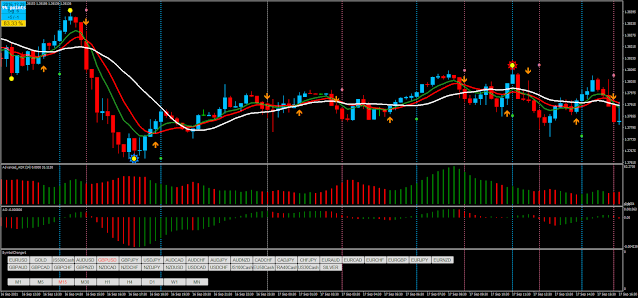 Palex Trading System