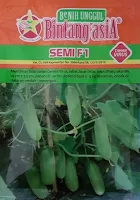 jual benih, timun, mentimun, benih semi f1, cap bintang asia, manfaat timun, toko pertanian, toko online, lmga agro