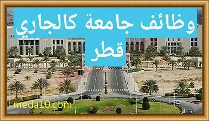 وظائف جامعة كالجاري في قطر